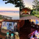 월정방풍림 이미지