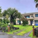 곱닥한가 이미지