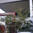 우림교회 이미지