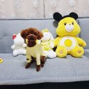 도그살롱바른핏 이미지