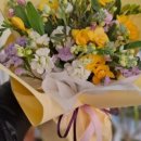 도마네거리 이미지