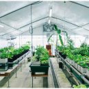 비케이팜 이미지