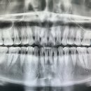 신영통연세치과의원 이미지