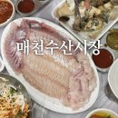 대구 매천수산시장 회 소라 추천 주차장 매천수산12번 내돈내산 솔직후기