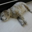 현진에버빌 후문사거리 이미지