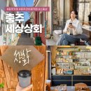 충주 시내 카페 관아골 세상상회 소품샵 라떼 맛집