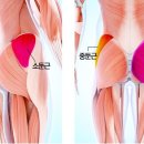 JP PT Studio 이미지