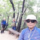 7월 둘째 주 화요산행(2020.7.14화 봉화산) 이미지
