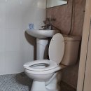 솔향기민박 이미지