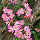 칠곡 지경당 이미지