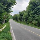 세림카센타 네이버블로그