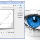 화려하개 이미지