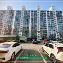 안중늘푸른 이미지