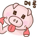 미담칼국수 이미지