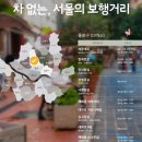 낙원동길 이미지