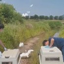 광주광역시 야생동물구조관리센터 이미지