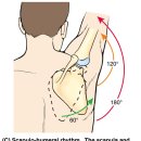 함께 선수 & 퍼스널 트레이닝 이미지