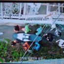 일구구오 네이버블로그