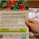 아부지사과