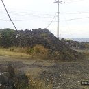 행원환해장성 이미지