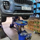 애니카랜드 상하점 이미지