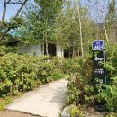 2488 | 나만 알고 싶은 분위기 좋은 평택 안성 원곡 카페 추천 가천2488, 한옥카페 후기