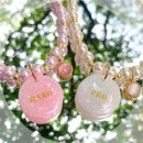 티니펫 | 🐶 티니네 인식표 애견 구슬 목걸이 내돈내산 후기