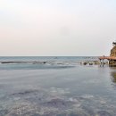 호미반도해안둘레길 이미지