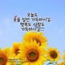 햇님달님