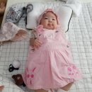피크닉타임 이미지