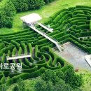 김녕미로공원