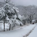 고향 - 서구 | 고향