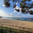 바다네 펜션 이미지