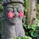 제주마실 게스트하우스 이미지