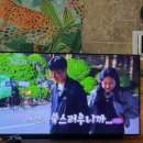 호식이두마리치킨 가야점 이미지