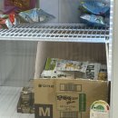 최강P.C | 너 대체 무슨 인생을 살고 있는거야? 정신 똑바로 차려