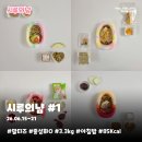 댕마카세 | [시루의냠] 말티즈 자연식 주간 식단 기록 #1 (6월 15일~21일)