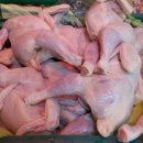 쎄일마트 이미지