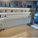 우리집강아지 애견미용 이미지