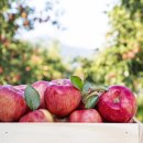 샘양지마을 이미지