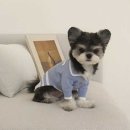 베아또 이미지