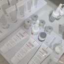 디퍼런트 팩토리 | 요즘 사고 싶은 화장품｜스킨수티컬즈 CE 페룰릭!.. 인데 너무 비싸서 가성비 유사제품 추천