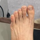 가드니아네일