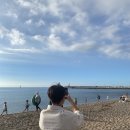 코코베이커리 | 커피, 포레스텔라인 제주, 다미진횟집, 표선 국수앤, 서귀피안베이커리, 코코컬처클럽, 표선 칠돈가 후기.