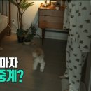 살빠졌다는 권은비 몸무게 근황 ㄷㄷ...gif 이미지