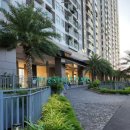 베트남 국제결혼 이미지