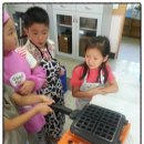 금포초등 이미지