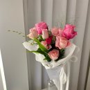 더피우리 이미지