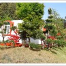 담양 반딧불 이미지