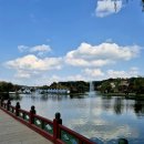 궁남지 그네 #2 | [부여여행코스/부여가볼만한곳] 궁남지-국립부여박물관-정림사지-백제문화단지-낙화암